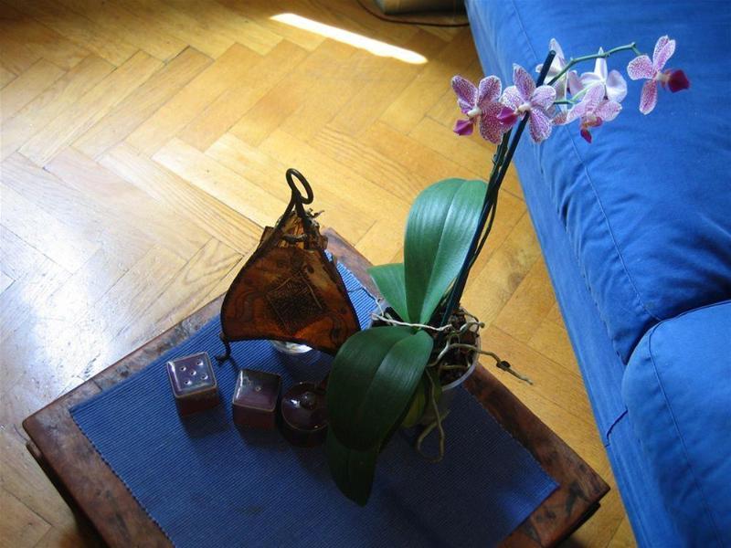 روما Maria-Rosa Guesthouse المظهر الخارجي الصورة