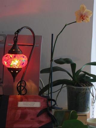 روما Maria-Rosa Guesthouse المظهر الخارجي الصورة